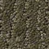 Brown Carpet Flooring - Floor Coverings International Southlake