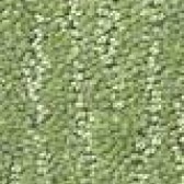 Green Carpet Flooring - Floor Coverings International Southlake