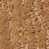 Orange Carpet Flooring - Floor Coverings International Southlake